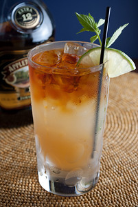 Mai Tai with Gosling float, photo copyright © 2010 Douglas M. Ford. All rights reserved.